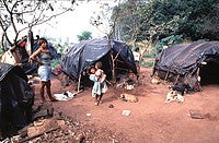 Expelled from their lands, Guarani camp precariously while they wait for their situation to be resolved. Many Cerrado peoples have been forced to live on roadsides while they fight for their lands. Photo by Naqillum (Flickr).